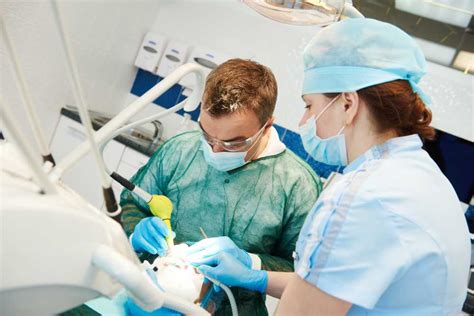how to get free dental work.